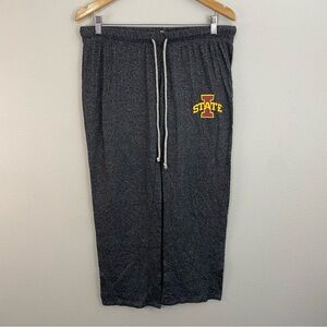 Iowa State Cyclones Gray Sweatpants Women's Size Large